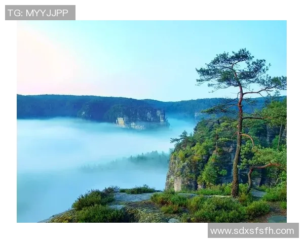 山谷独立与传统观念的碰撞探索新视角与未来发展之路